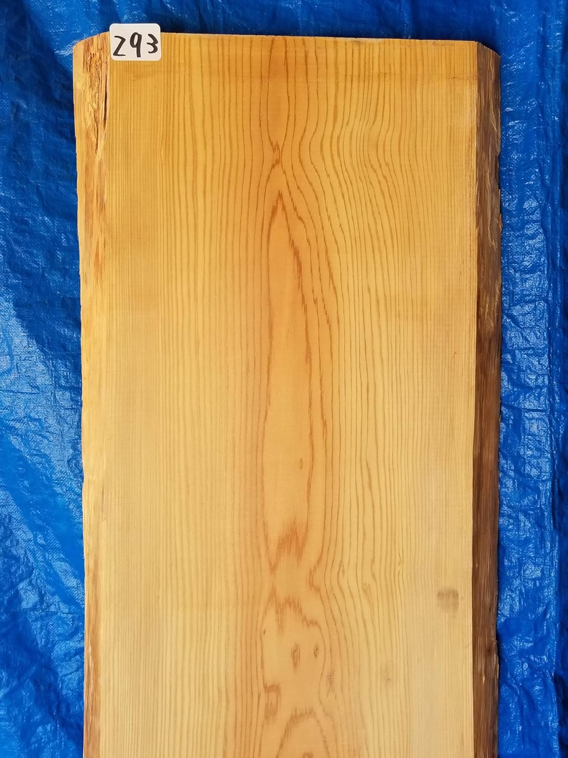 【121cm×48cm】テーブル　天板　無垢材 神奈川県 海老名店展示 一枚板栃(トチ)材 テーブル用天板 ｜一枚